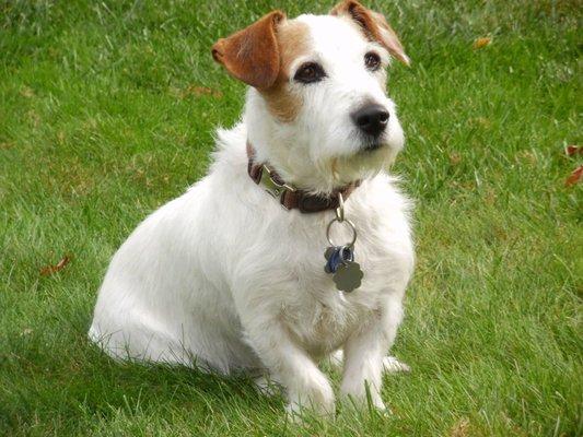 photo of Christine T.