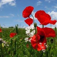 photo of Christina M.