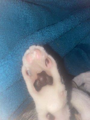 Photo of Sleepy S.