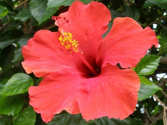 photo of Michelle M.