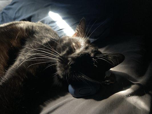 photo of Zoe B.