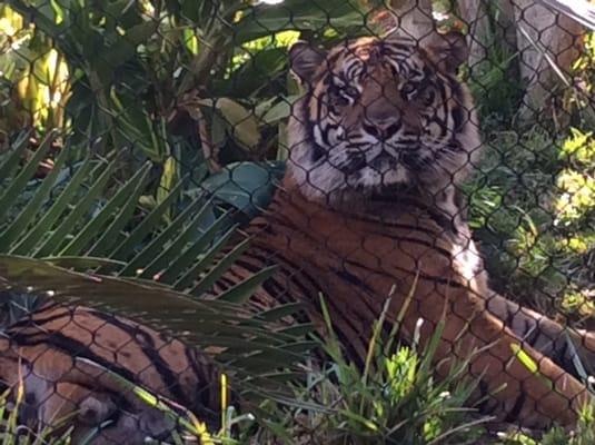 photo of Christina M.