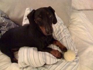 photo of Virginia W.