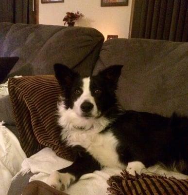 photo of Michelle K.