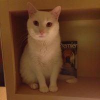 photo of Jeremiah J.