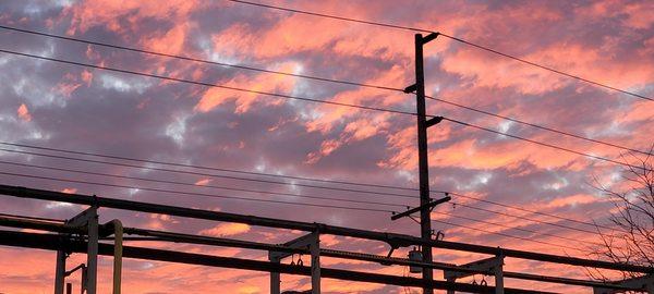 photo of Matthew H. Y.