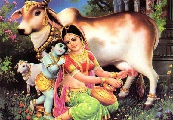 Photo of Sudha S.