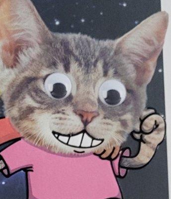 photo of Opinionated O.