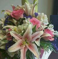 Photo of Audimarie H.