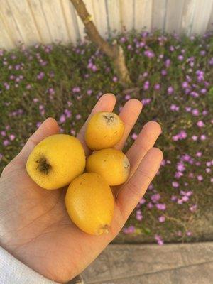 photo of Cristina S.