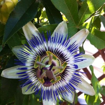 Photo of Elizabeth O.