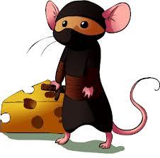 Photo of Mouse S.