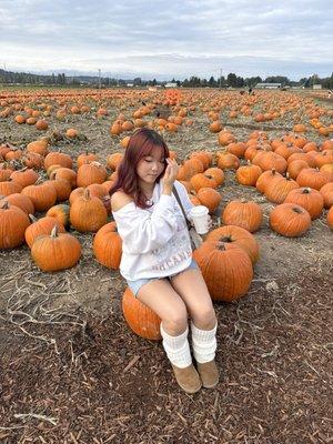 photo of Michelle S.