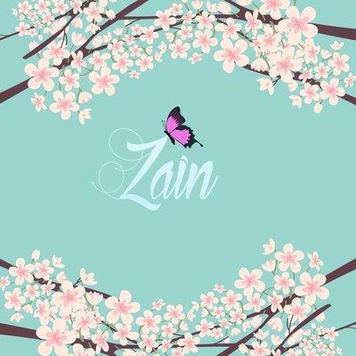 Photo of Zain A.