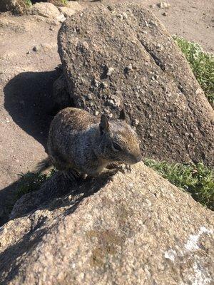 photo of Danthedino D.