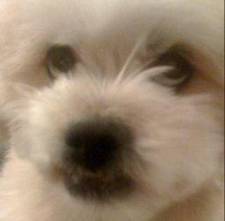 Photo of Carebear J.