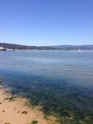 photo of Caroline H.