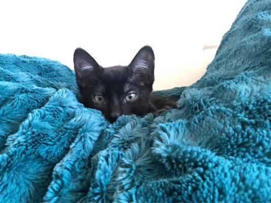 photo of Samantha S.