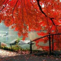 Photo of Stephanie Y.