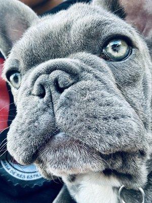 photo of Leonardo Romeo G.