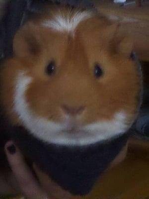 Photo of Phin J.