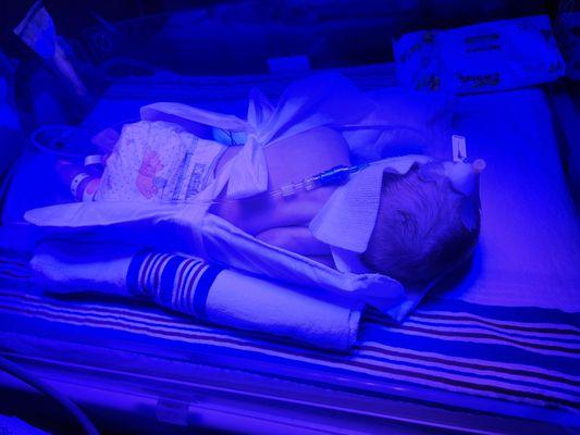 photo of Danielle M.