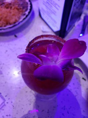 photo of Anastasia Z.