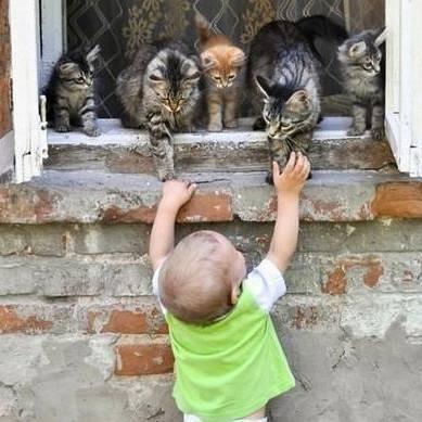 photo of Elizabeth D.