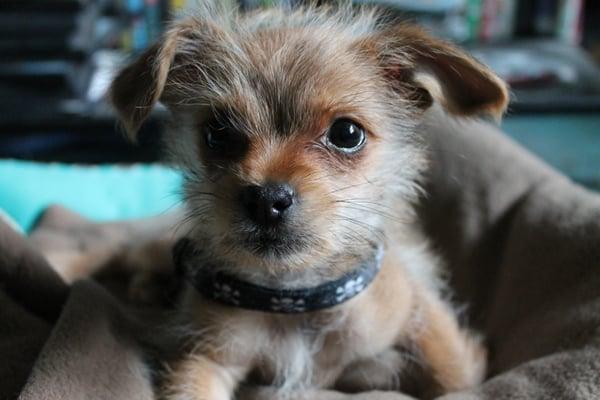 Photo of Katarina A.