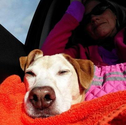 Photo of Lori Gene L.