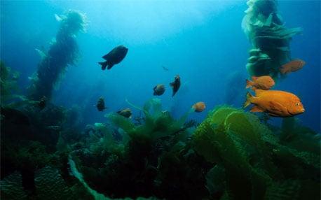 CVS Pharmacy, 1280 Worcester Rd, Framingham, MA 01702, US - MapQuest