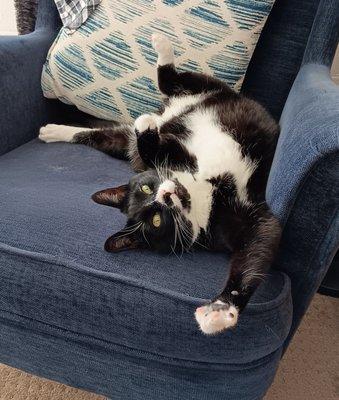 photo of Catherine A.