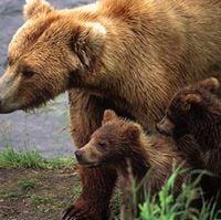 photo of Jennifer B.