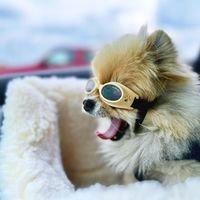 Photo of Elizabeth N.