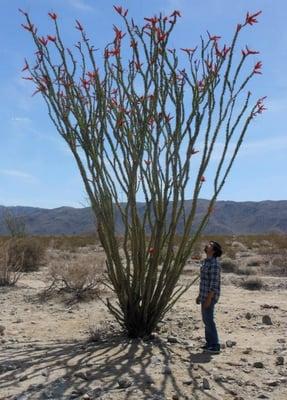 photo of Maverick P.