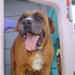 photo of HalnJoan A.