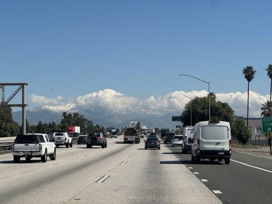 photo of Danielle C.