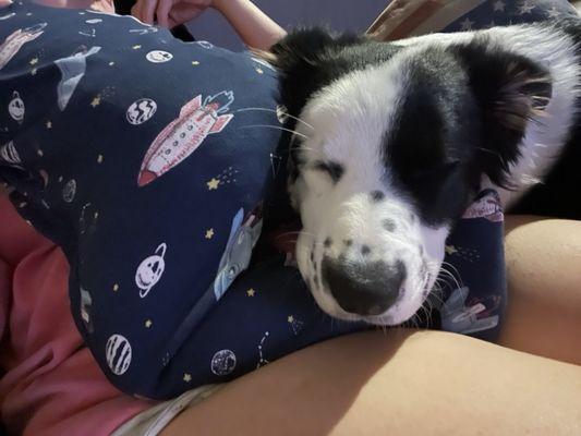 Photo of Samantha S.