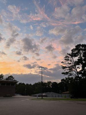 Photo of Addison S.