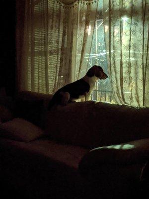 Photo of Marcy G.