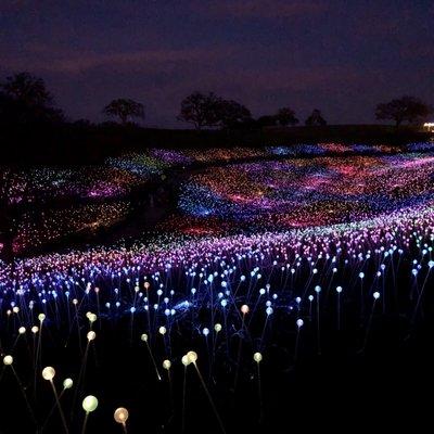 Photo of Jennifer T.