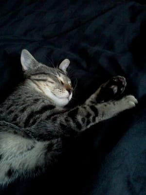 Photo of Aspen H.
