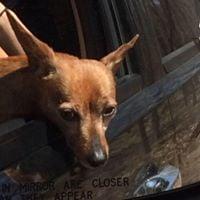 photo of Jennifer F.