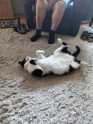 photo of Giovanni M.