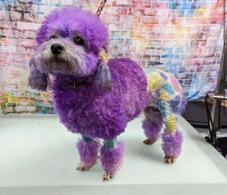 photo of Elizabeth W.