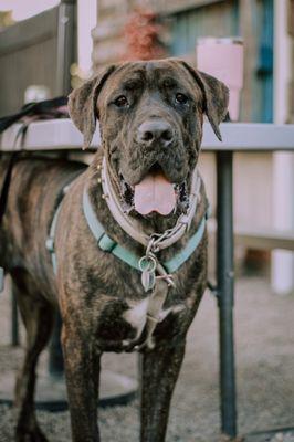 photo of Geoffrey M.