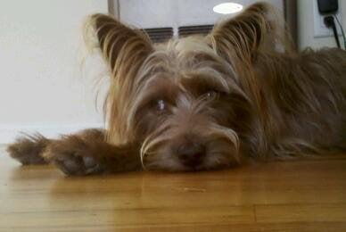 photo of Christine A.