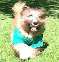 Photo of Michelle R.