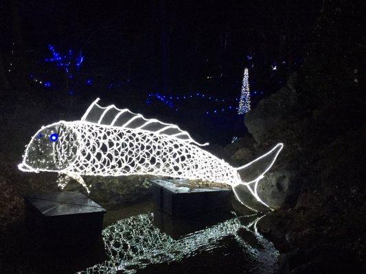 Photo of Christina J.