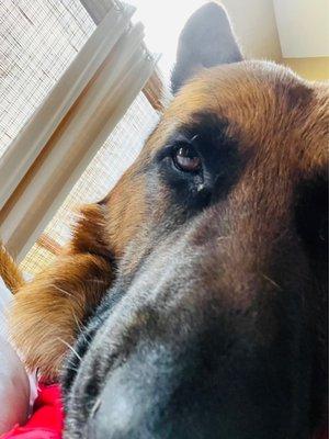 photo of Michelle D.